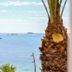 Annet