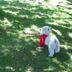 Annet