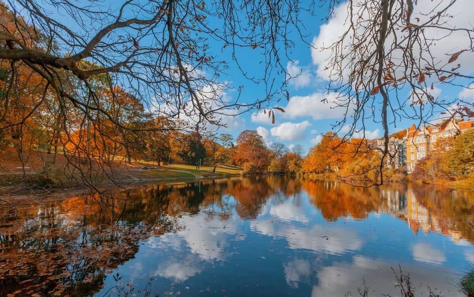 Utsikt Foto