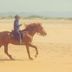 Annet
