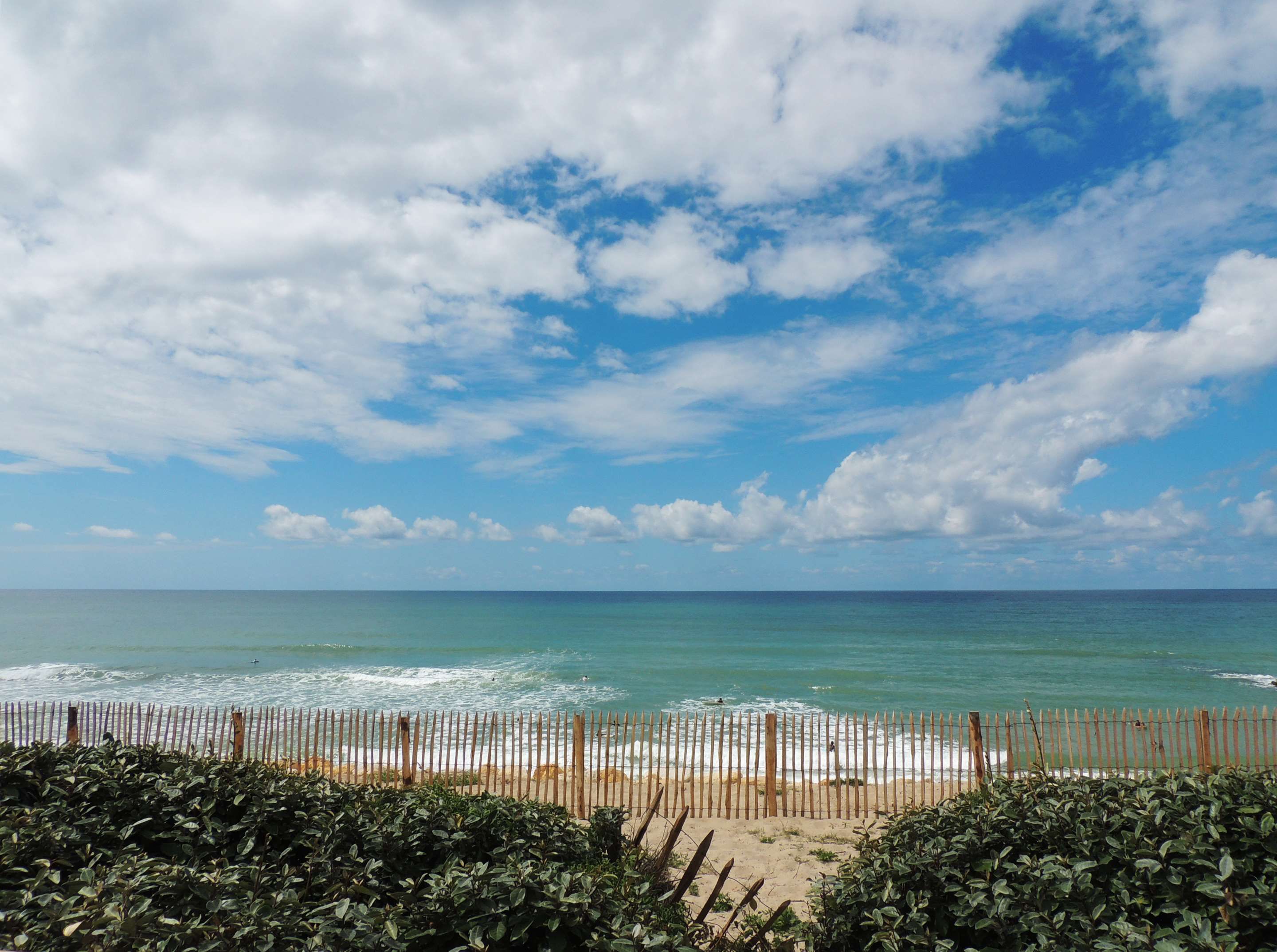 Strand