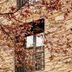 Utsikt