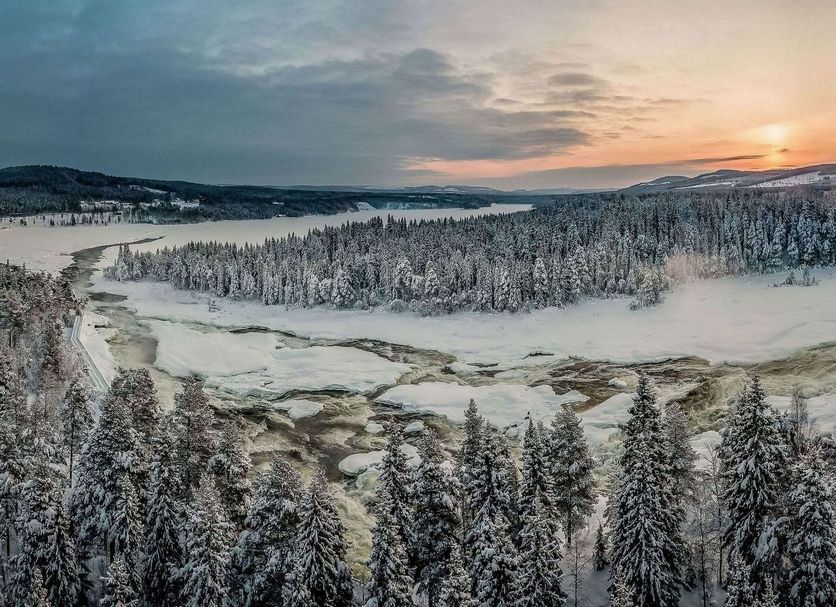 Utsikt Foto