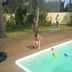 Annet