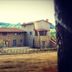 Annet