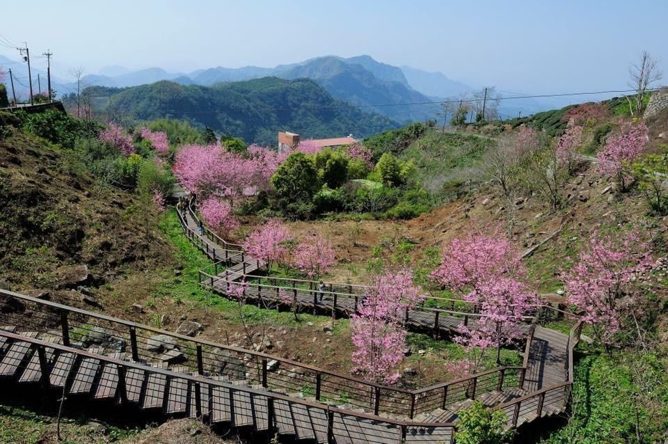 Utsikt
