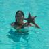 Annet