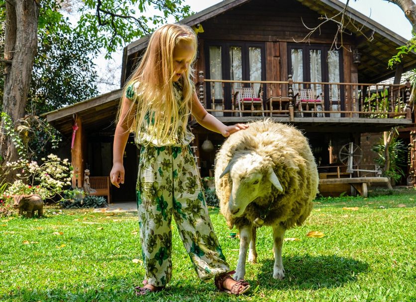 Annet Foto