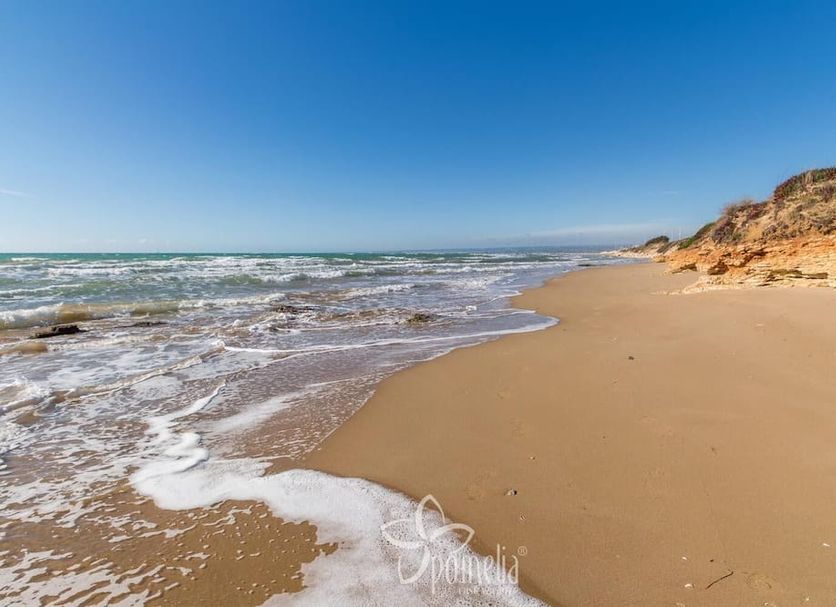 Strand Foto