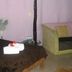 Annet