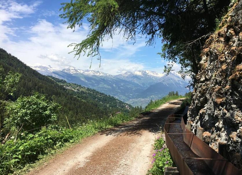 Utsikt Foto