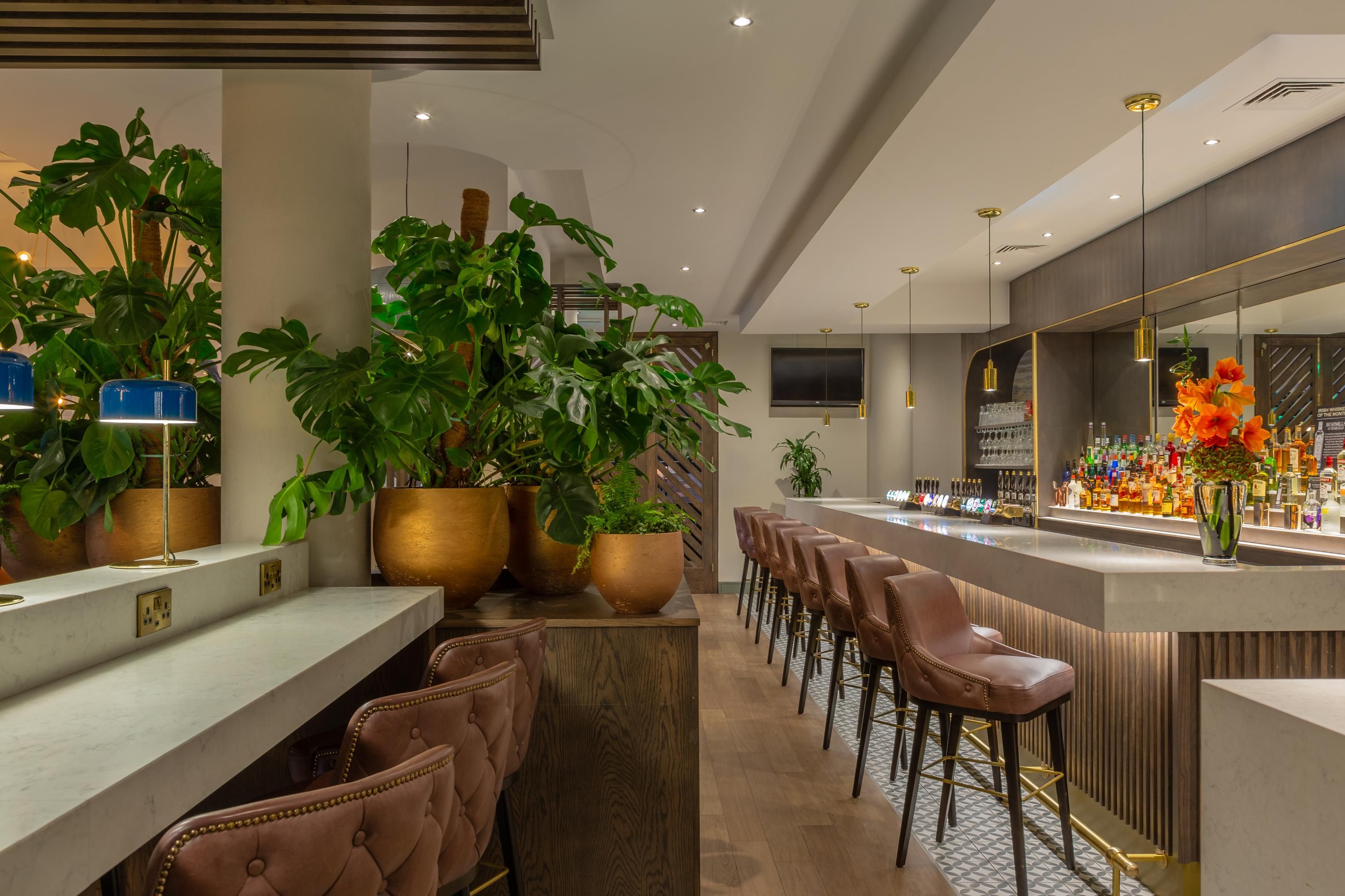 Bar Foto