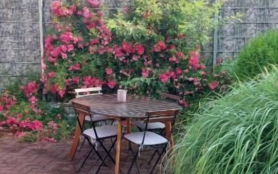 Patio Foto