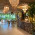 Resepsjon