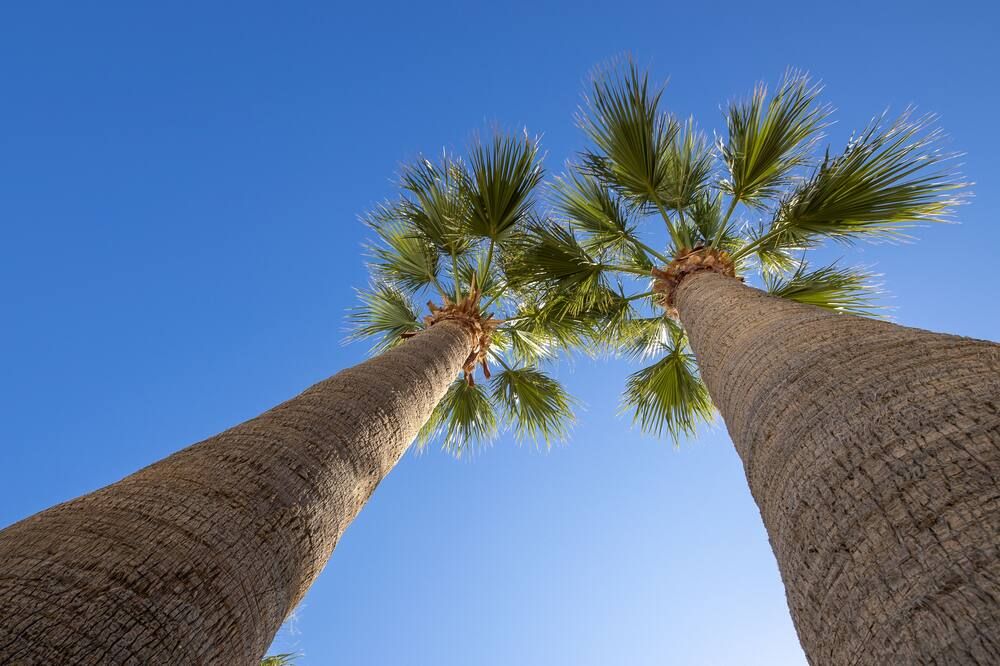 Annet