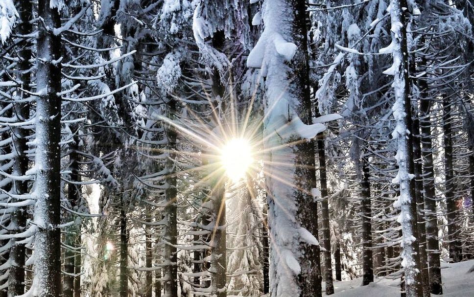 Utsikt Foto