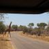 Annet