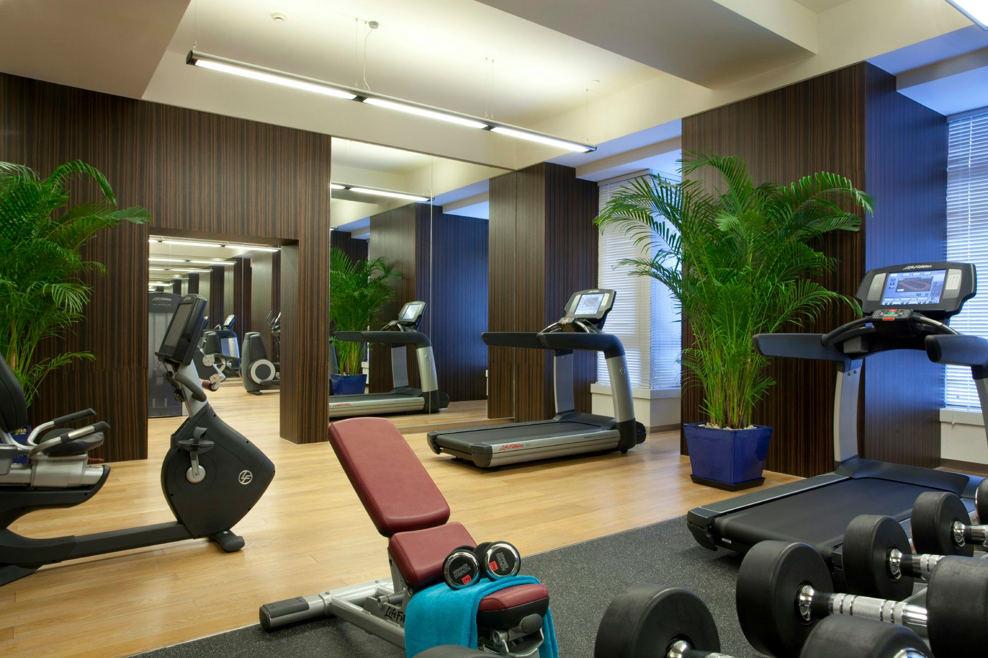 Gym