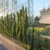 Utsikt