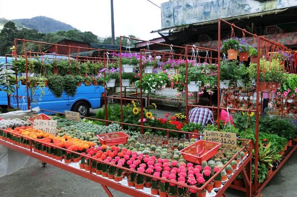Attraksjoner