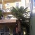 Annet