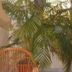 Annet