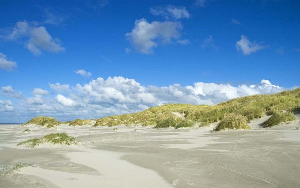 Strand Foto