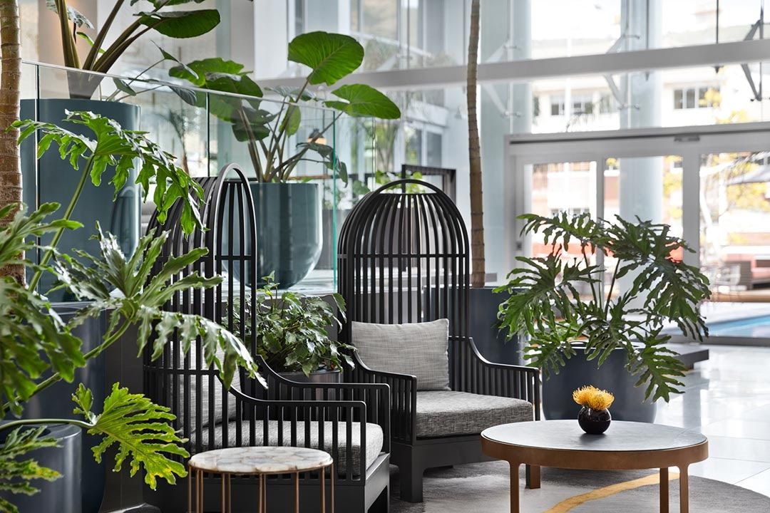 Resepsjon
