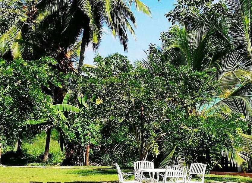 Patio Foto