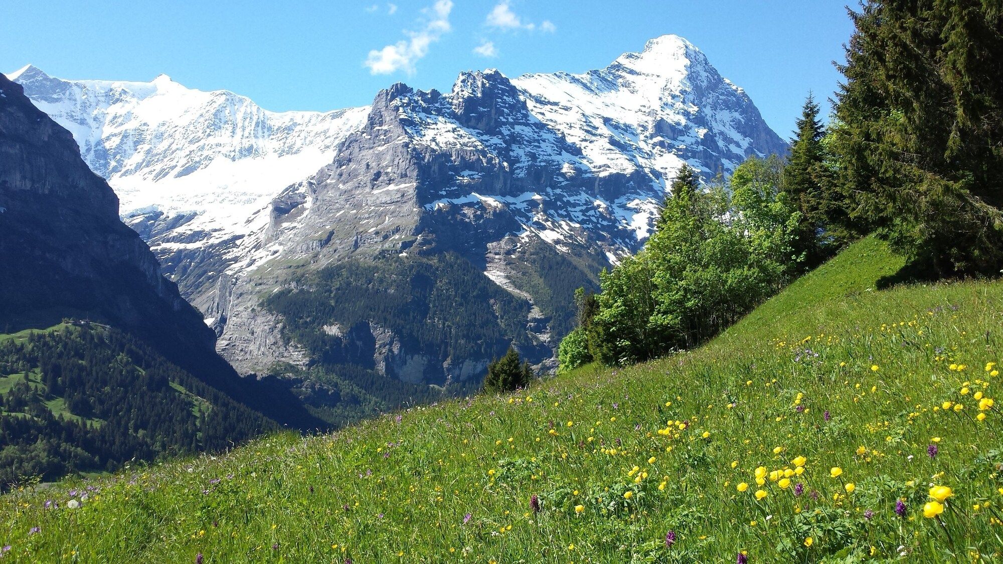 Utsikt Foto