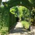Utsikt