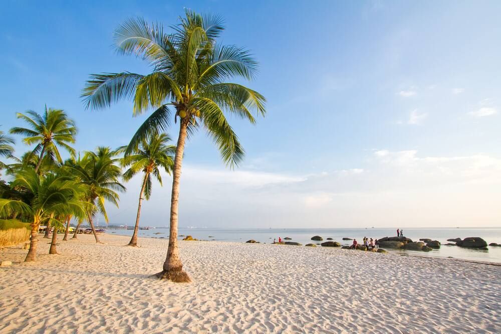 Strand