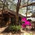 Utsikt