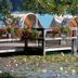 Annet