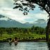 Annet