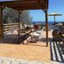 Takterrasse
