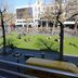 Utsikt